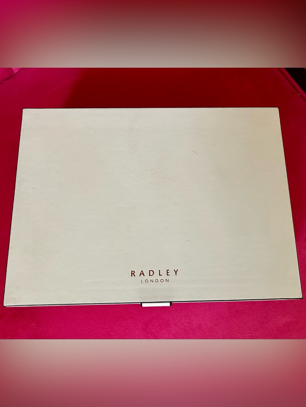 RADLEY LONDON Cream Jewelry Organizer Box